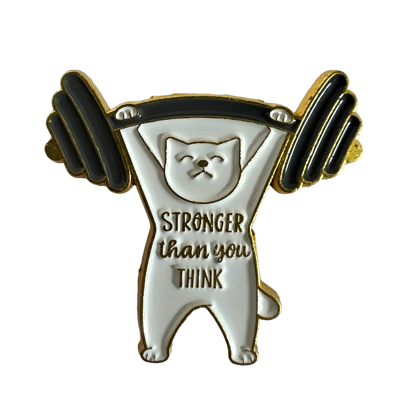 Pin — 'Stronger Than You Think' SPIRIT SPARKPLUGS Cat
