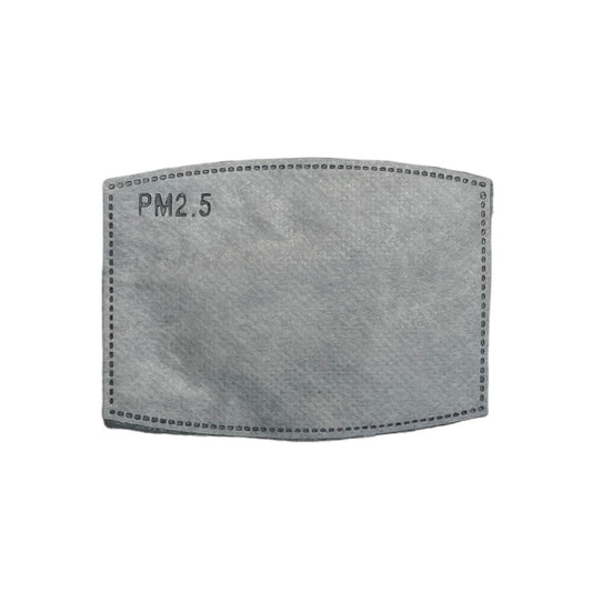 PM2.5 Mask Filters — 5 Pack Mask SPIRIT SPARKPLUGS PM2.5 - 5 Pack  